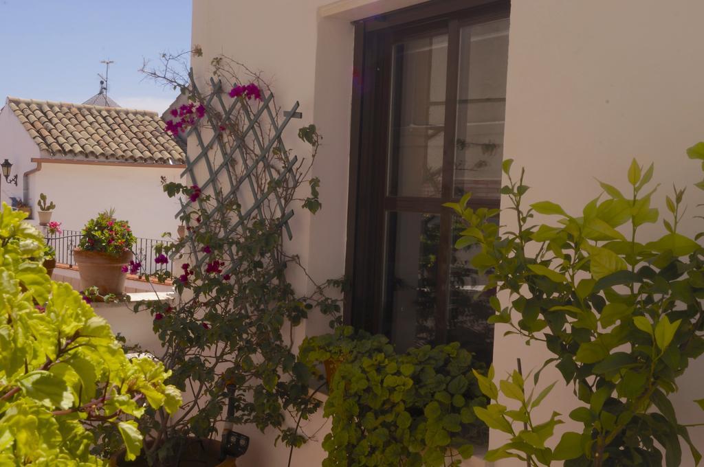 شقة Penthouse Puerta De La Juderia قرطبة المظهر الخارجي الصورة