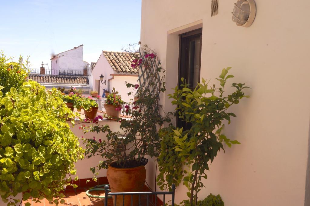 شقة Penthouse Puerta De La Juderia قرطبة المظهر الخارجي الصورة
